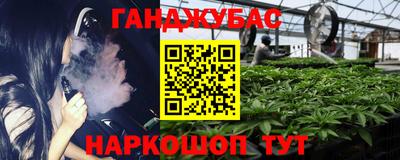 ECSTASY Бийск
