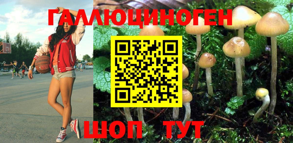 Галлюциногенные грибы GOLDEN TEACHER Кольчугино